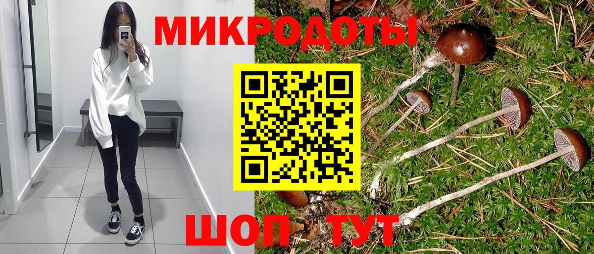 Псилоцибиновые грибы мицелий Димитровград